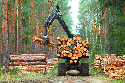Showcase your forestry construction business to Calgary and surrounding area customers.