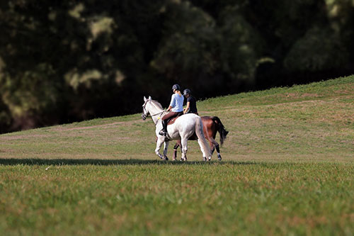 Advertise your Calgary area activities to locals and tourists alike.