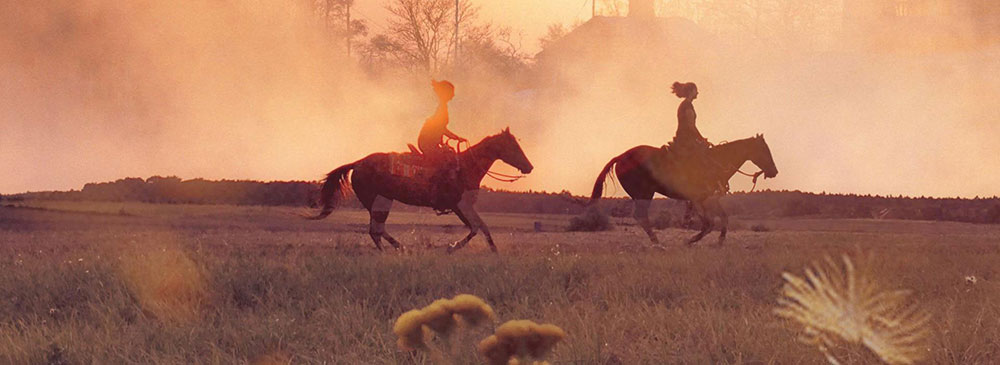 Pormote your Calgary area tourism and leisure related activities to local consumers and visitors to Calgary.